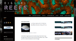 Desktop Screenshot of digital-reefs.com